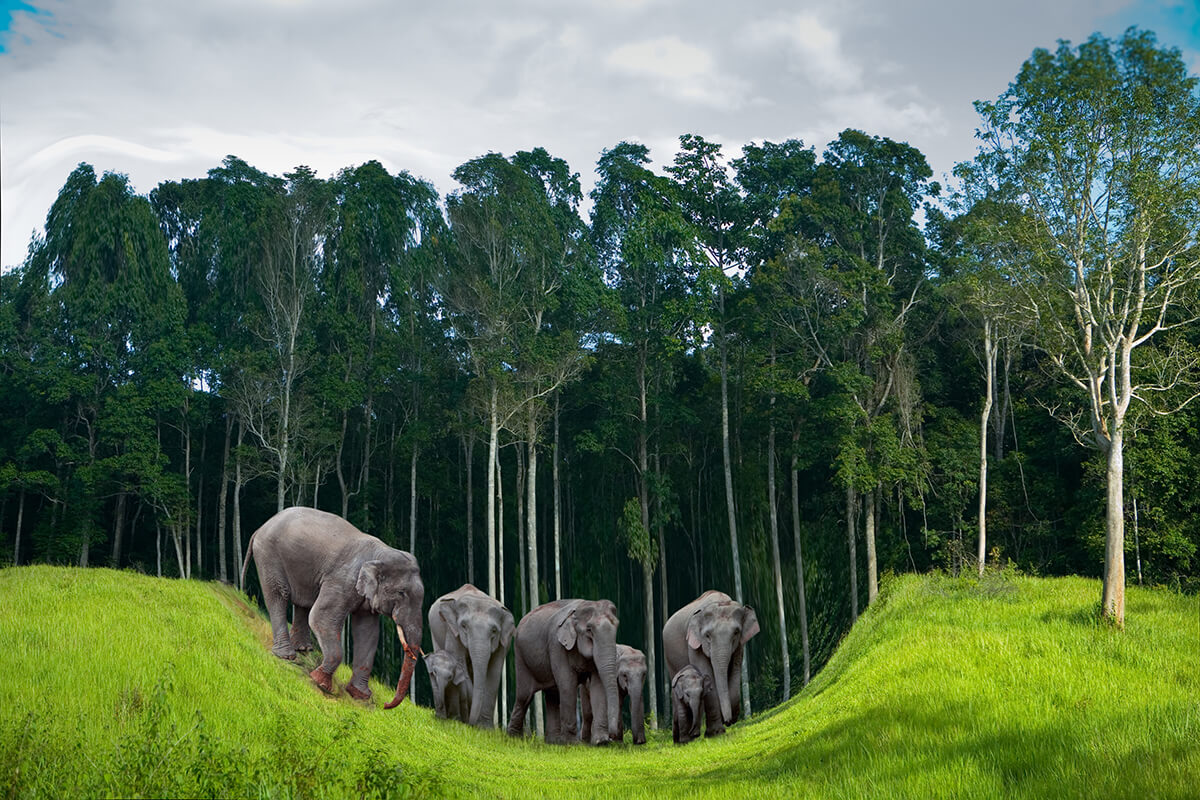 Koh Chang