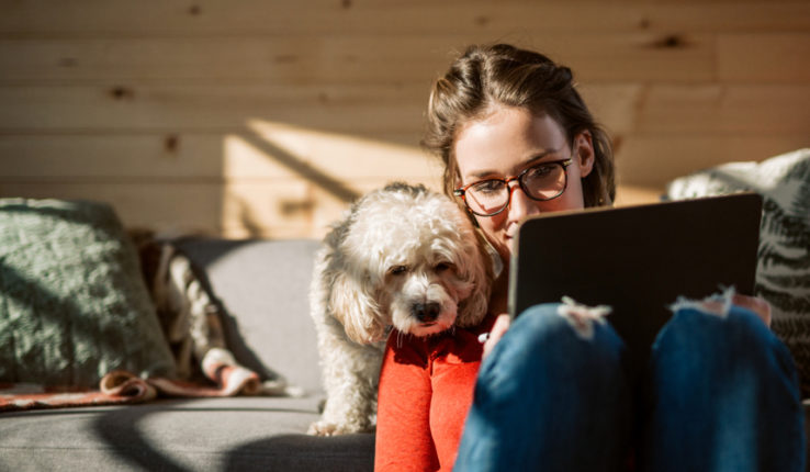 Yeni Şeyler Öğrenmeyi Sevenler İçin: Online Kurs Platformu Önerileri