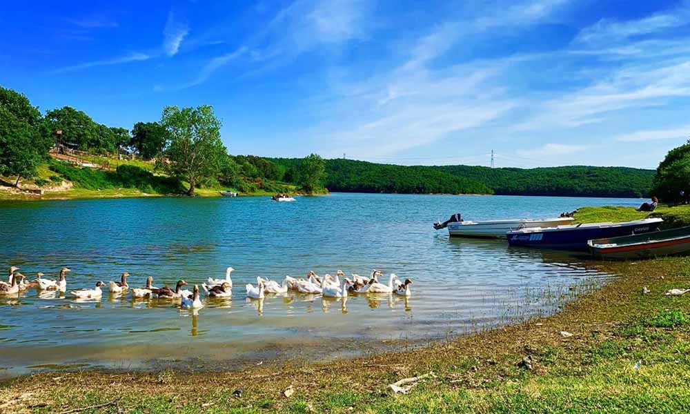 Esenceli Köyü Piknik Alanı