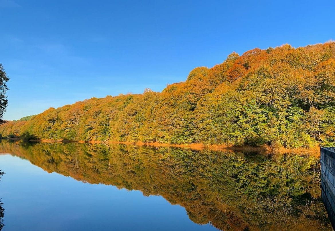 İstanbul Piknik Alanları