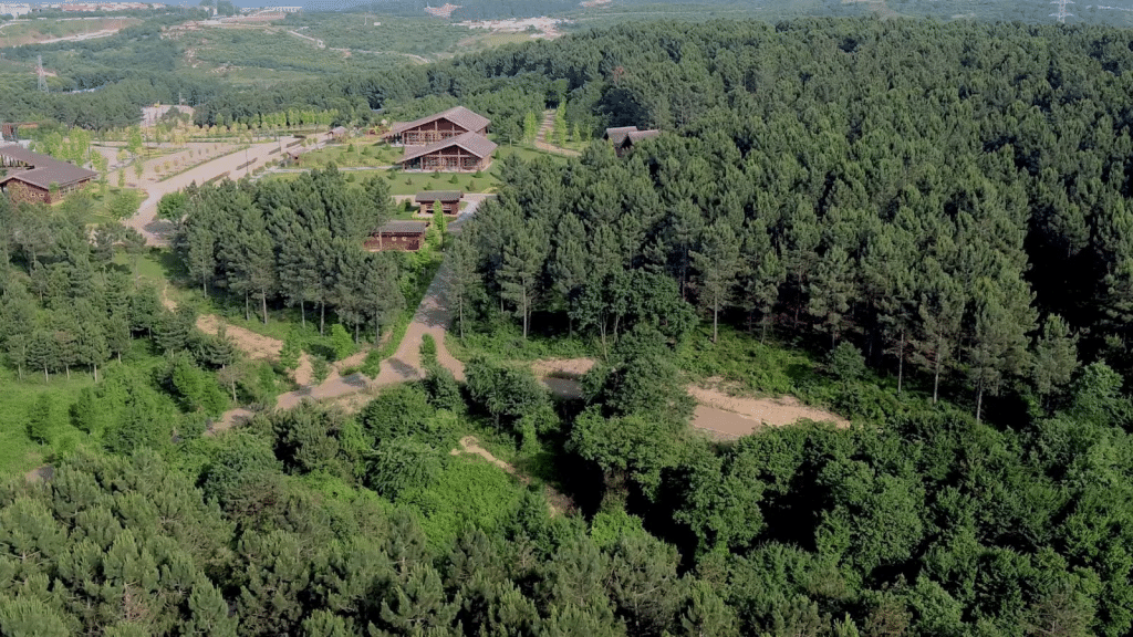 Kemerburgaz Kent Ormanı