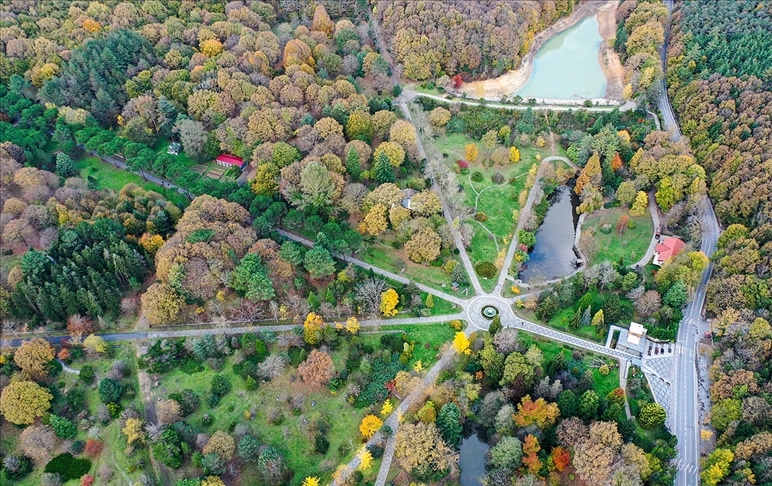 Atatürk Arboretumu Botanik Bahçesi