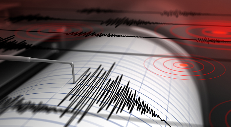 Revize Deprem Ne Demek