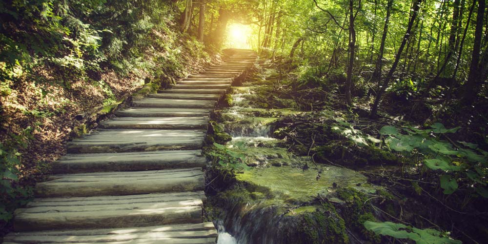 Kendinize Bir Yol Haritası Çıkarın